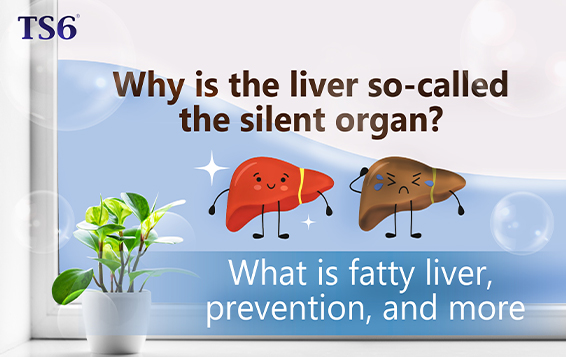 Why is the liver so-called the silent organ? What is fatty liver, prevention, and more